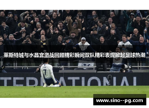 莱斯特城与水晶宫激战回顾精彩瞬间双队精彩表现掀起足球热潮