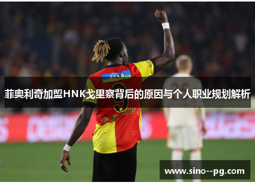 菲奥利奇加盟HNK戈里察背后的原因与个人职业规划解析