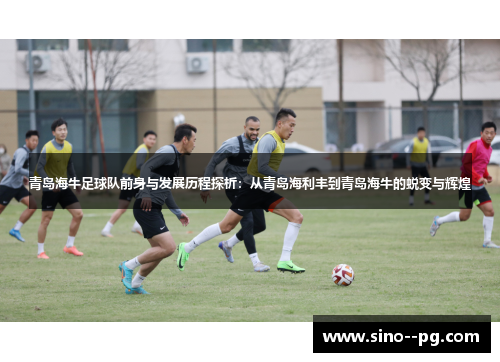 青岛海牛足球队前身与发展历程探析：从青岛海利丰到青岛海牛的蜕变与辉煌