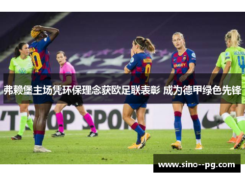 弗赖堡主场凭环保理念获欧足联表彰 成为德甲绿色先锋