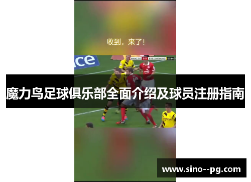 魔力鸟足球俱乐部全面介绍及球员注册指南