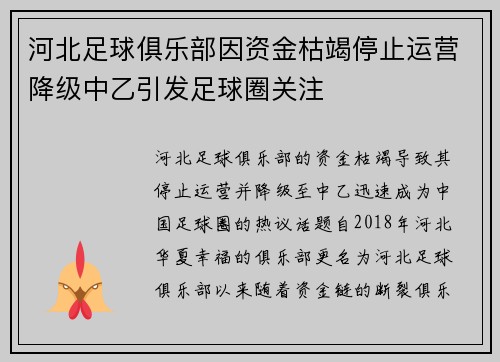 河北足球俱乐部因资金枯竭停止运营降级中乙引发足球圈关注